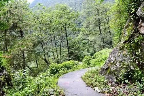 动物帮帮忙保卫家园